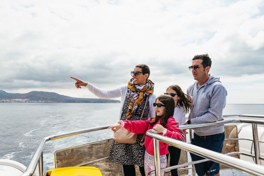 Tenerife: Eco-Yacht Whale and Dolphin Watching and Swimming - Why the boat design matters