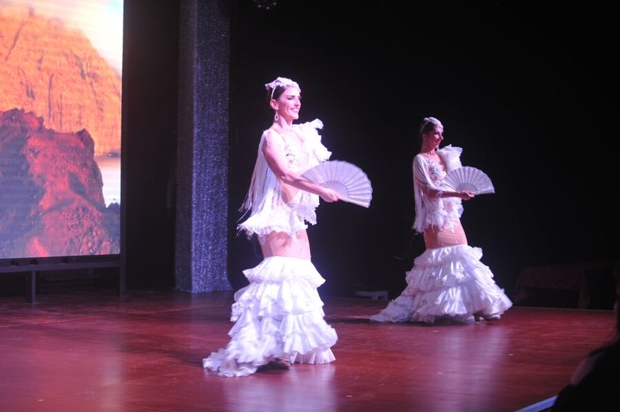 Tenerife: Flamenco Performance at Teatro Coliseo - Who should book this show