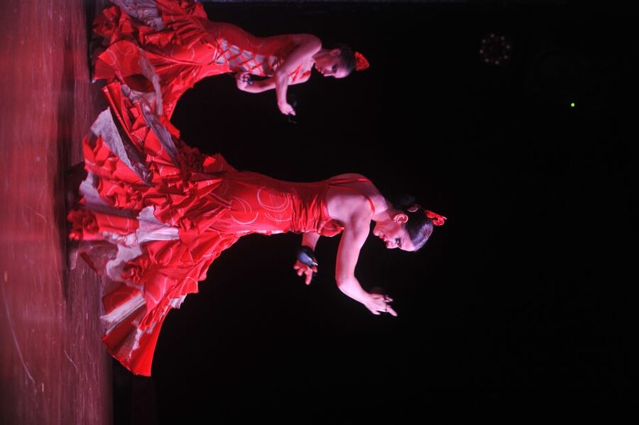 Tenerife: Flamenco Performance at Teatro Coliseo - Cost, drinks, and the choice between standard and VIP