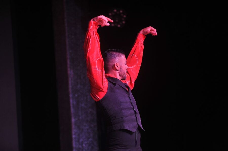 Tenerife: Flamenco Performance at Teatro Coliseo - What makes the performance valuable