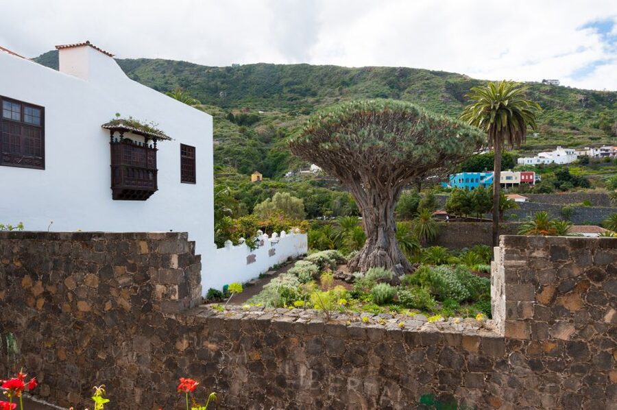 Tenerife: Full-Day Guided Island Tour - Key points to know before booking