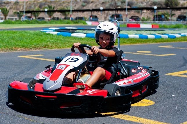 Tenerife: Go Karting Adventure - Arriving from Playa de las Americas or Los Cristianos