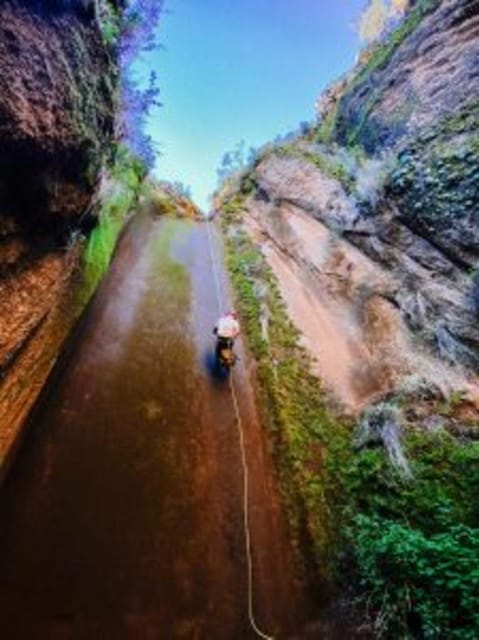 Tenerife: Guided Canyoning Experience in Los Arcos - Should you book Los Arcos canyoning?