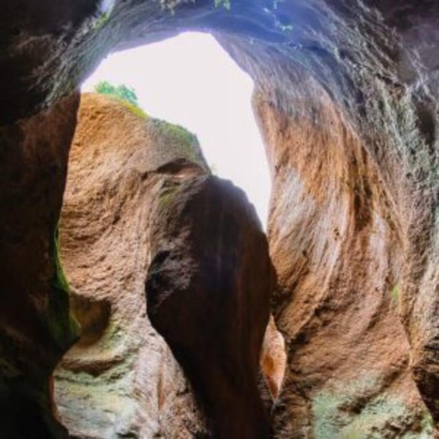 Tenerife: Guided Canyoning Experience in Los Arcos - A geology lesson with plants, animals, and fire recovery