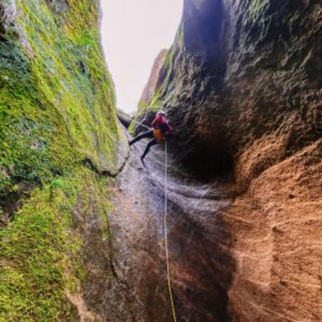Tenerife: Guided Canyoning Experience in Los Arcos - Best for first-timers, active adults, and nature lovers