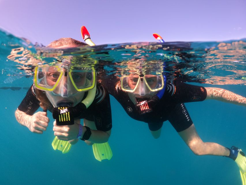 Tenerife: Half-Day Snorkeling Tour - Key points to know before you book