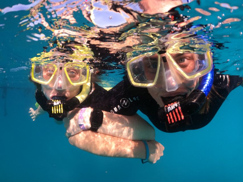 Tenerife: Half-Day Snorkeling Tour - Practical advice for a smooth morning or afternoon