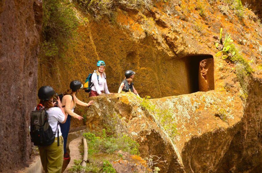Tenerife: Hiking Tour in Anaga Mountains & Enchanted Forest - Through the laurel forest and changing weather