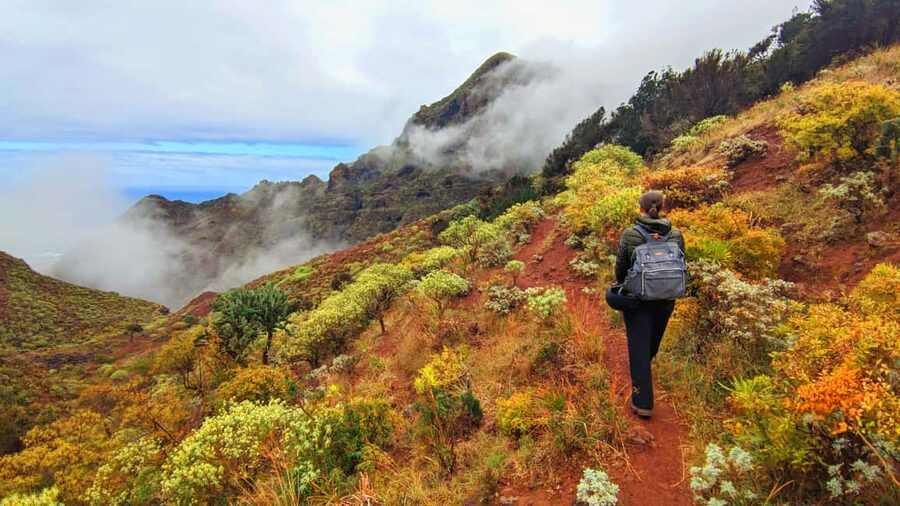 Tenerife: Hiking Tour in Anaga Mountains & Enchanted Forest - Picnic in a natural cave or on the hill