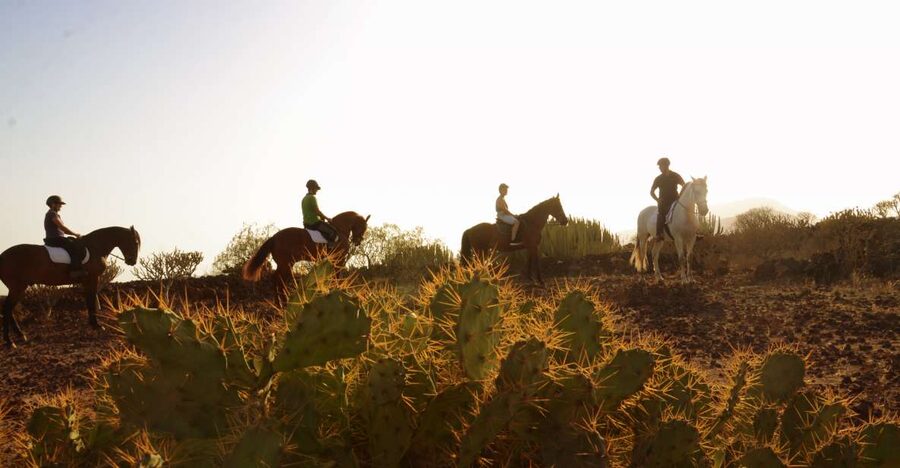 Tenerife: Horseback Ride with Instructor - Quick points about the ride