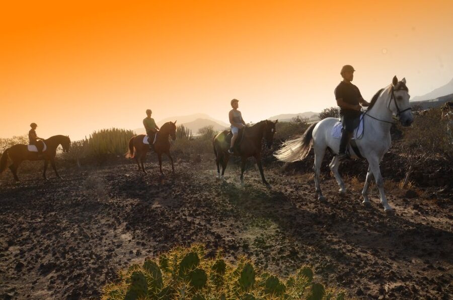 Tenerife: Horseback Ride with Instructor - The one-hour ride through volcanic southern Tenerife