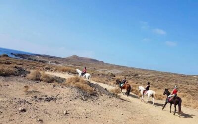 Horseback Ride with Instructor