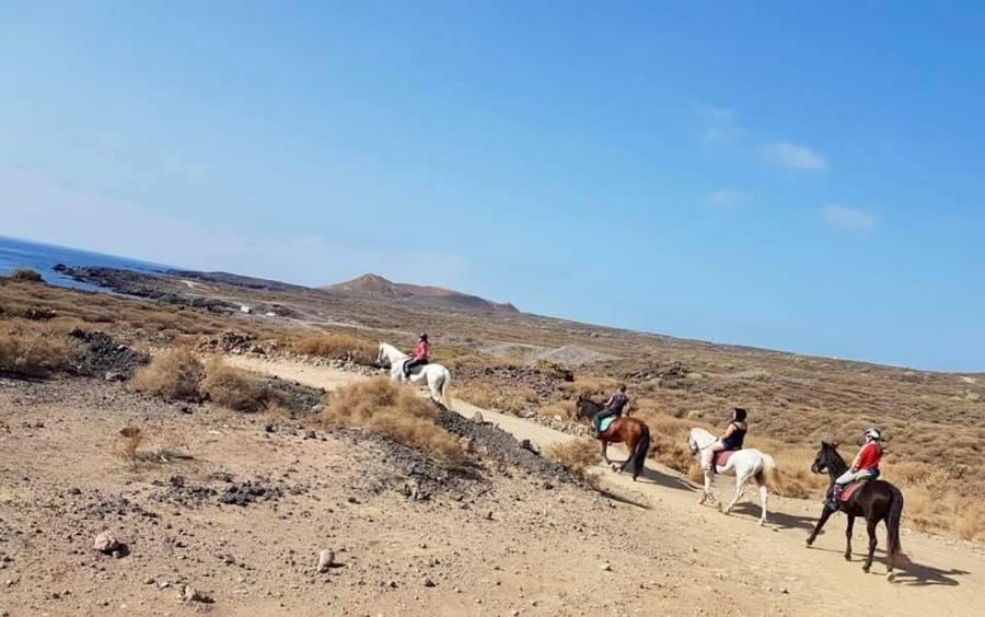Tenerife: Horseback Ride with Instructor - Meeting the horses and learning the basics