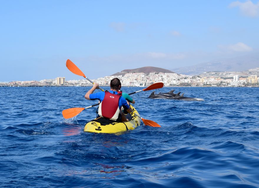 Tenerife: Kayak and Snorkel with Turtles, Wetsuits Included - Who should book, and who should skip it
