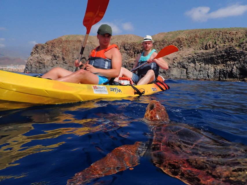 Tenerife: Kayak and Snorkel with Turtles, Wetsuits Included - Launching from Playa de Los Cristianos