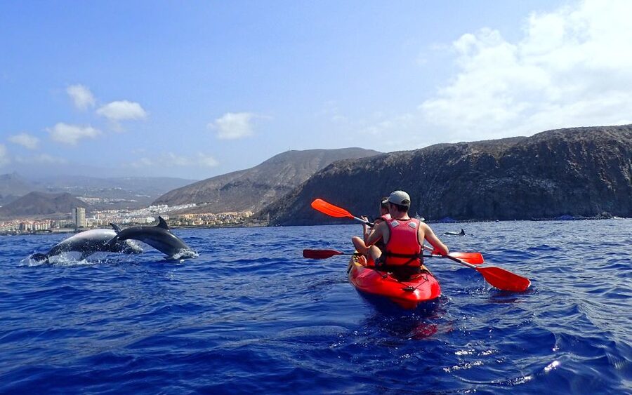 Tenerife: Kayak and Snorkel with Turtles, Wetsuits Included - A low-impact way to watch marine life