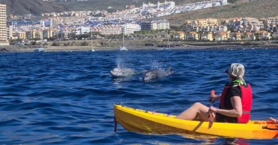 Tenerife: Kayak Safari and Sea Turtle Snorkeling with Photos - Key things to know before paddling out