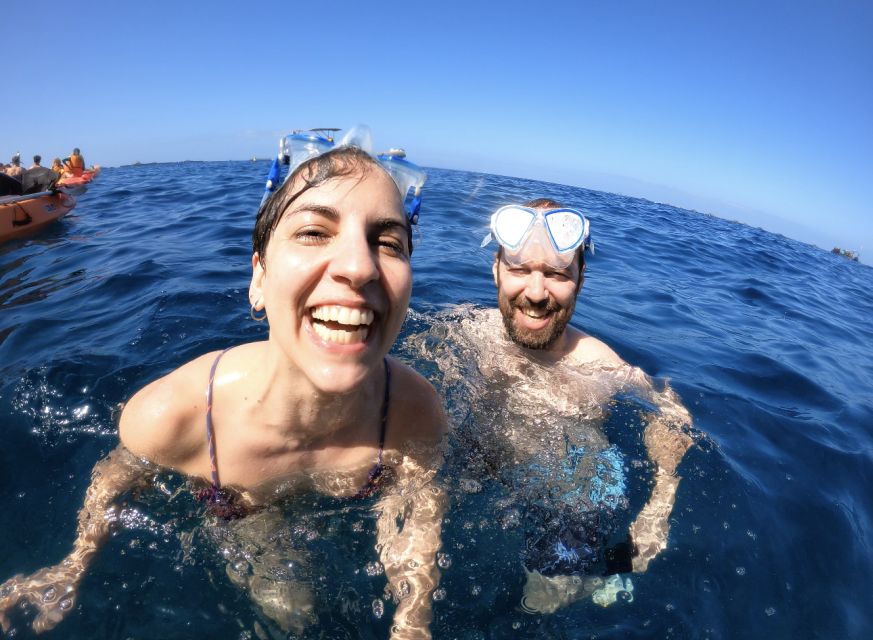 Tenerife: Kayak Safari and Sea Turtle Snorkeling with Photos - What the three-hour return paddle feels like