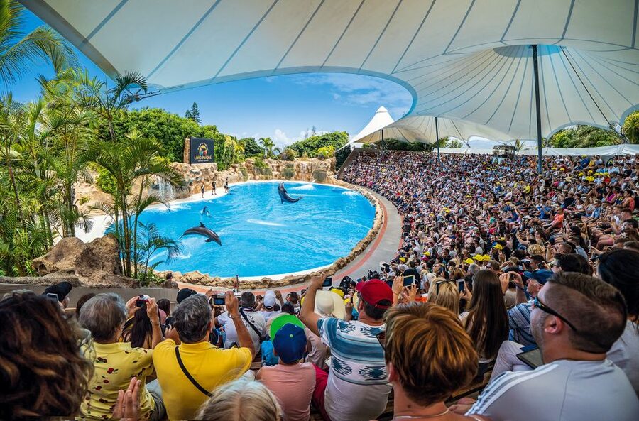 Tenerife: Loro Parque Entry Ticket - Key points to know before you go