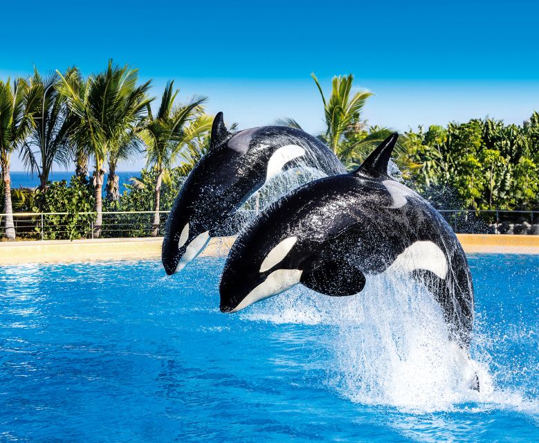 Tenerife: Loro Parque Entry Ticket - Is Loro Parque good value for families and adults?