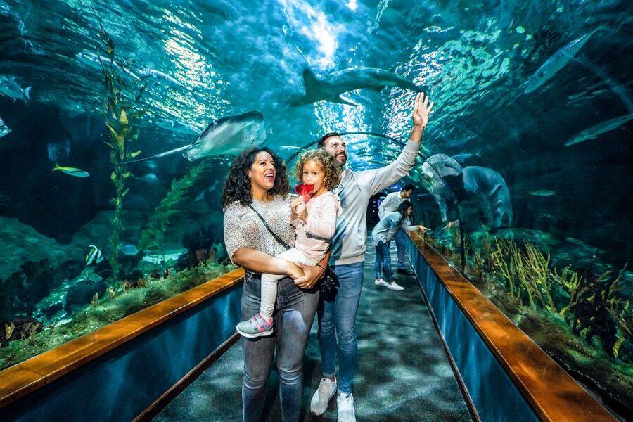 Tenerife: Loro Parque Entry Ticket - Penguins, aquariums, and close-up animal habitats