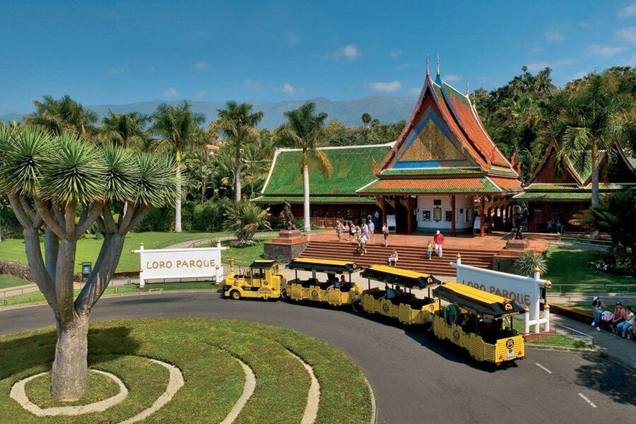 Tenerife: Loro Parque & Siam Park Entry Ticket with Transfer - Entry control and the ticket you must protect