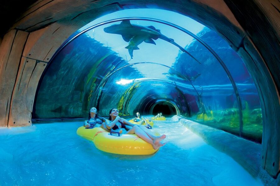 Tenerife: Loro Parque & Siam Park Entry Ticket with Transfer - Who will get the most from this package?