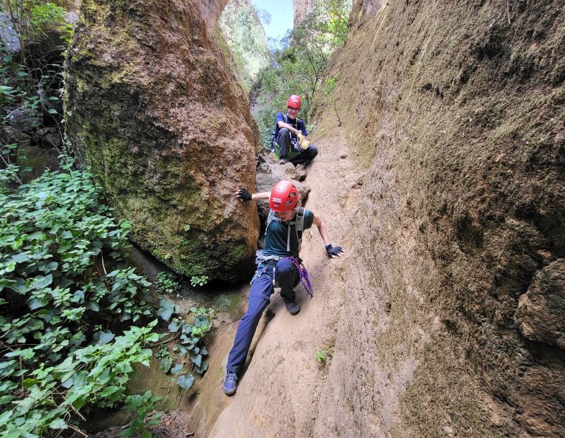 Tenerife: Los Arcos Canyoning Tour with Guide - What the technical sections feel like