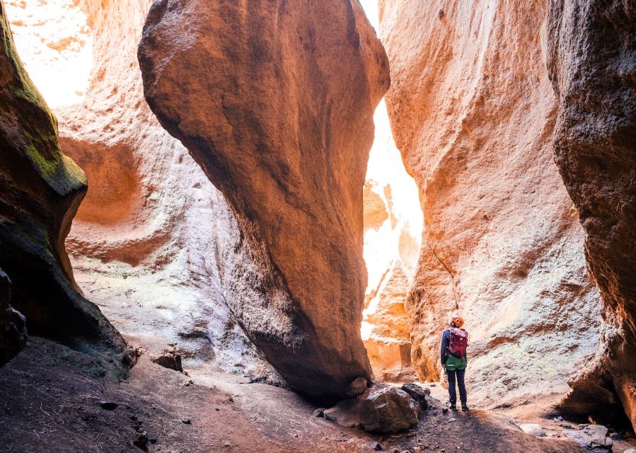 Tenerife: Los Arcos Canyoning Tour with Guide - The guide is a major part of the value