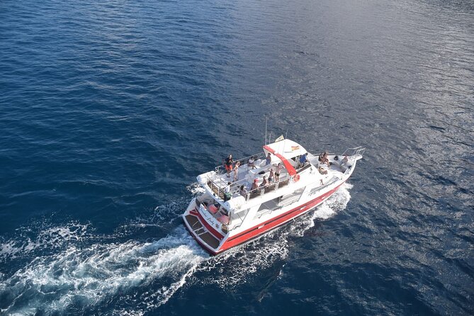 Tenerife Los Cristianos: Whale and Dolphin Eco-Yacht and Swim Stop - Who will enjoy this boat trip most?