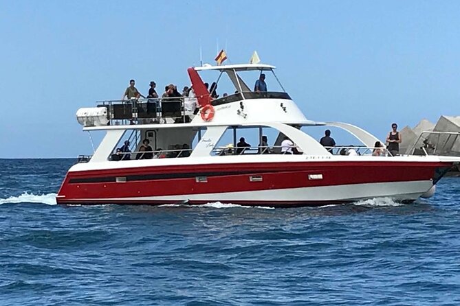 Tenerife Los Cristianos: Whale and Dolphin Eco-Yacht and Swim Stop - What to bring and what to expect onboard