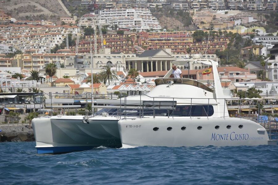 Tenerife: Marine-Life Tour with Transfer, Buffet and Drinks - Key points to know before booking