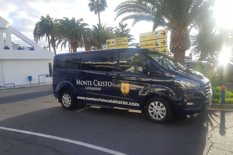Tenerife: Marine-Life Tour with Transfer, Buffet and Drinks - Cruising the south coast by catamaran