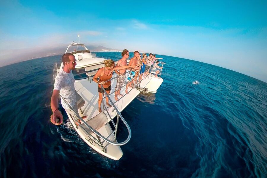 Tenerife: Marine-Life Tour with Transfer, Buffet and Drinks - Comfort, access, and family details