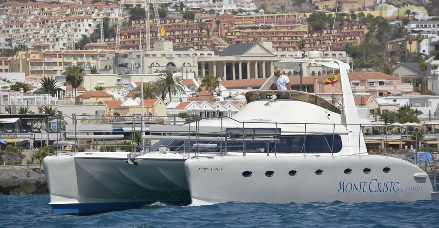 Tenerife: Marine-Life Tour with Transfer, Buffet and Drinks - Searching for pilot whales and dolphins