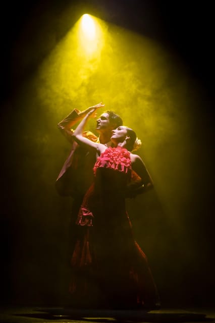 Tenerife : Olé Flamenco Show by Fran Chafino Ticket - Key points at a glance