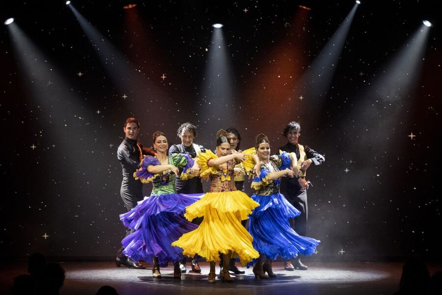 Tenerife : Olé Flamenco Show by Fran Chafino Ticket - The second half: pure flamenco and full-force performance