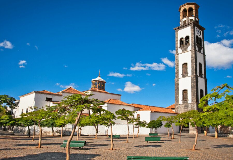 Tenerife: Private Day Tour of the Island with Hotel Pickup - Los Gigantes and the volcanic coast