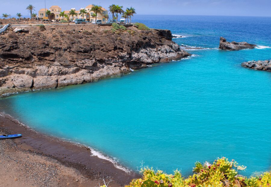 Tenerife: Private Day Tour of the Island with Hotel Pickup - What the guides add to the day