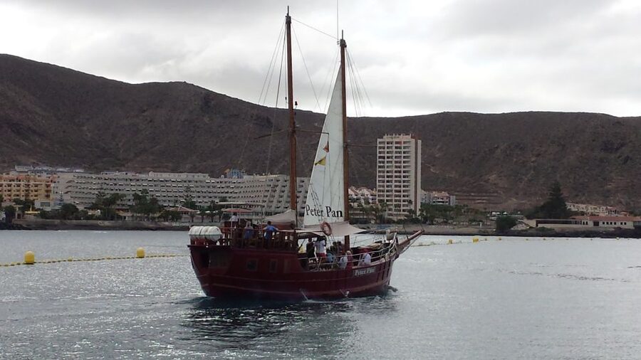 Tenerife:Respectful Whale Watching, Pirate Ship, & Swim - What the optional bus transfer really means