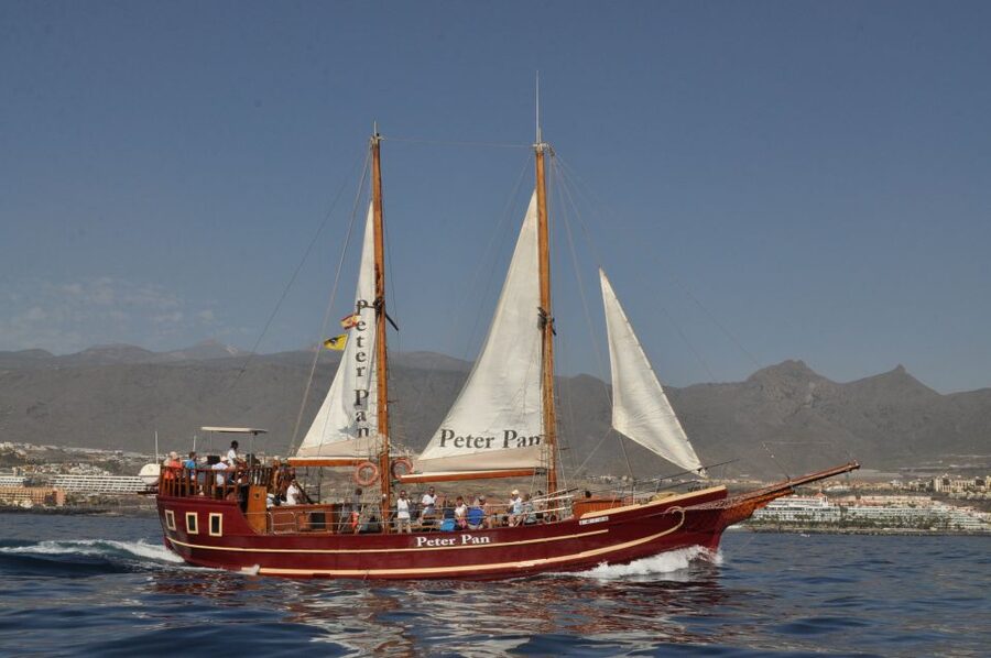Tenerife:Respectful Whale Watching, Pirate Ship, & Swim - Whale watching with a respectful rhythm