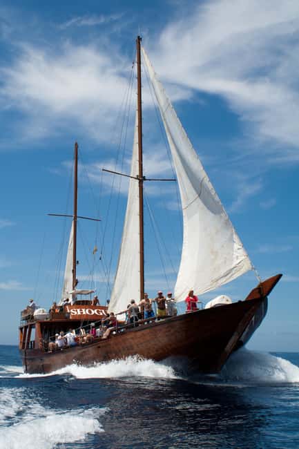 Tenerife:Respectful Whale Watching, Pirate Ship, & Swim - The swimming stop and what to pack