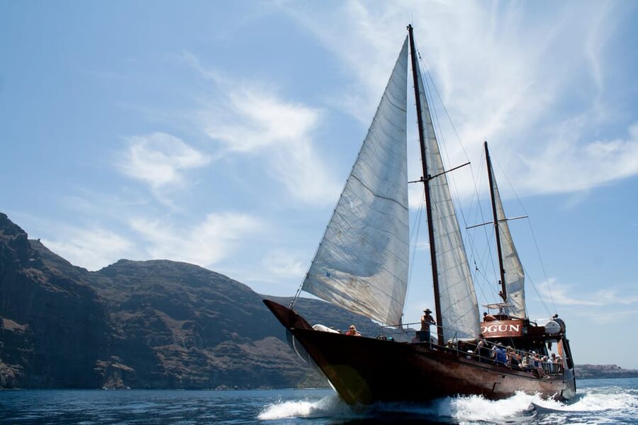 Tenerife:Respectful Whale Watching, Pirate Ship, & Swim - The bar, deck space, and onboard mood