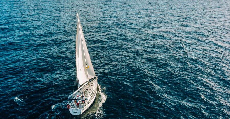 Tenerife: Sailboat Tour with Food and Snorkeling - Looking for pilot whales and dolphins near Puerto Colón