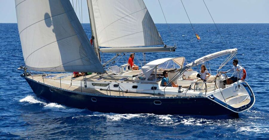 Tenerife: Sailing Excursion with Whale and Dolphin Watching - Key points to know before you book
