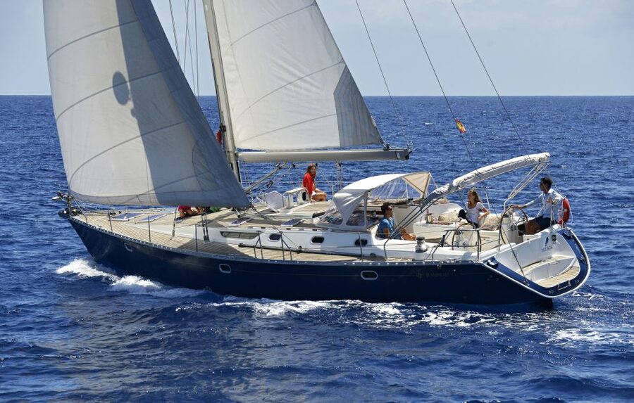 Tenerife: Sailing Excursion with Whale and Dolphin Watching - Setting out from Puerto Colón