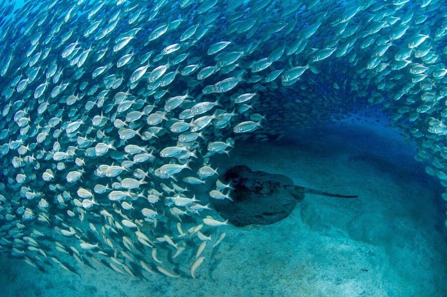 Tenerife: Scuba Diving Experience for Every Level - Getting ready at Playa de las Vistas