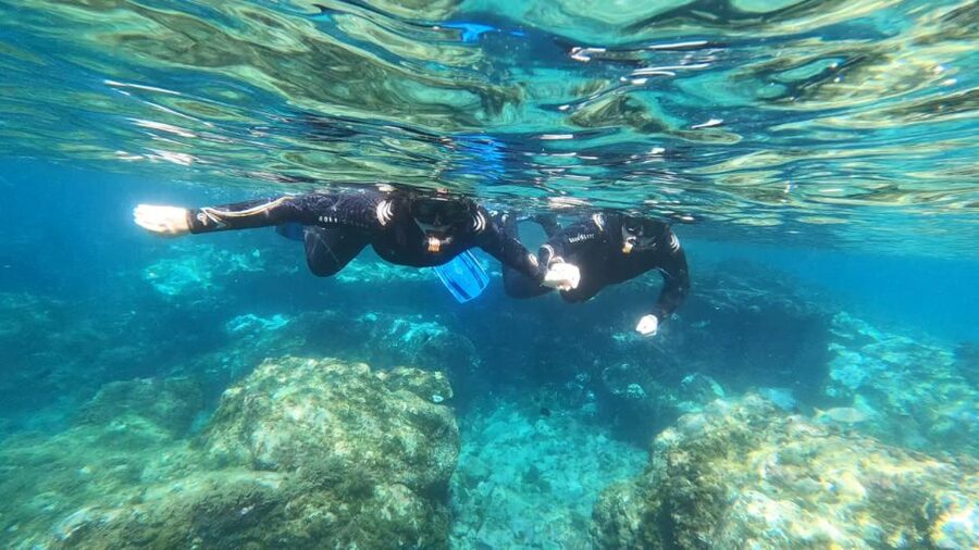 Tenerife: Snorkeling Tour in a Marine Protected Area - Entering the water from shore