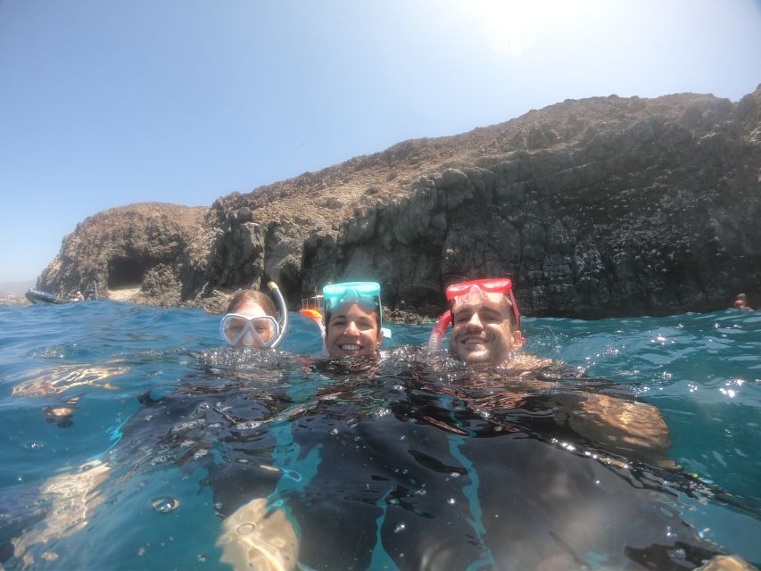 Tenerife: Snorkeling Trip in a Turtle Habitat - Practical tips for a smoother morning