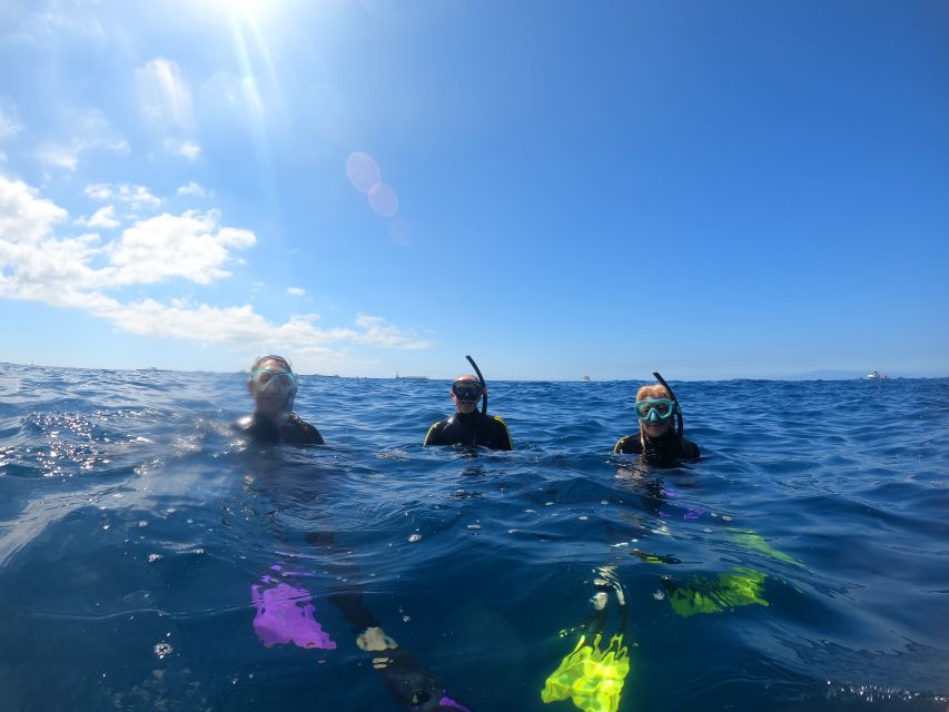 Tenerife: Snorkeling Trip in a Turtle Habitat - Fifty minutes in the turtle habitat
